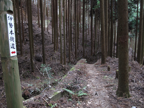 20140105hike (300)